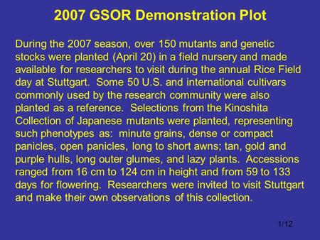 During the 2007 season, over 150 mutants and genetic stocks were planted (April 20) in a field nursery and made available for researchers to visit during.