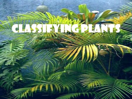 Classifying Plants. Standards: Students will be able to demonstrate how plants are sorted into groups. Essential Questions: How is the classification.