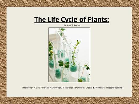 The Life Cycle of Plants: By: April E. Fegley Introduction / Tasks / Process / Evaluation / Conclusion / Standards, Credits & References / Note to Parents.