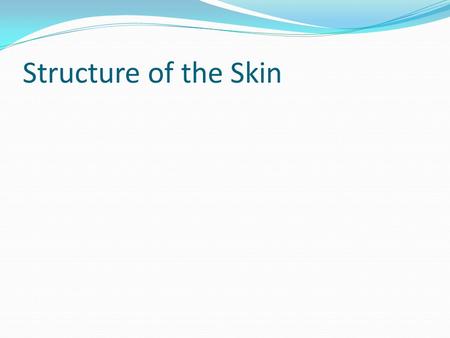 Structure of the Skin. The largest organ of the body. Its surface area is responsible for the regulation of body temperature Has three layers Epidermis.