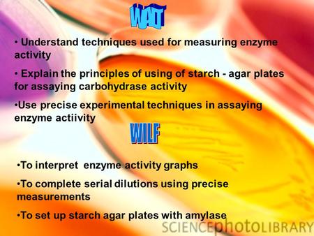 Understand techniques used for measuring enzyme activity Explain the principles of using of starch - agar plates for assaying carbohydrase activity Use.