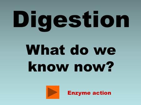 Digestion What do we know now? Enzyme action.