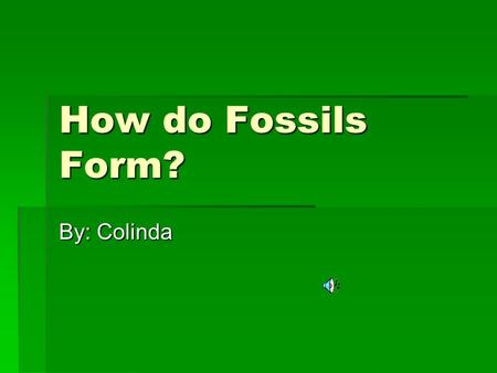 How do Fossils Form? By: Colinda.