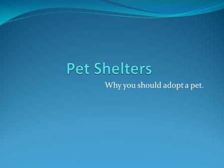 Why you should adopt a pet.. Pet Adoption vs. Breeders How many of you have a dog or a cat? Did you buy it from pet store, or from an ad in the newspaper?