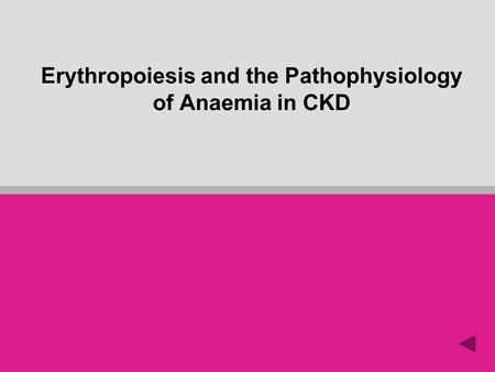Erythropoiesis and the Pathophysiology of Anaemia in CKD