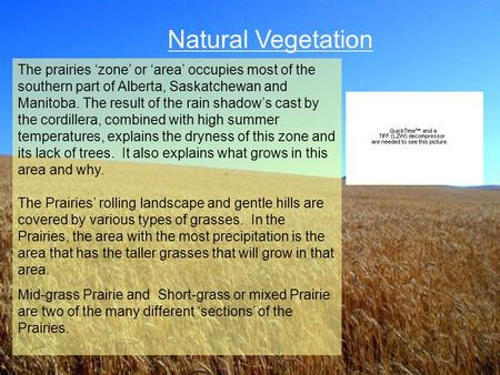 Natural Vegetation The prairies ‘zone’ or ‘area’ occupies most of the southern part of Alberta, Saskatchewan and Manitoba. The result of the rain shadow’s.