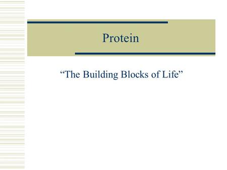 “The Building Blocks of Life”
