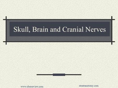 Skull, Brain and Cranial Nerves