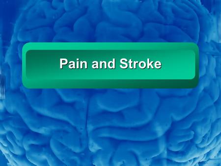 Slide 1 Pain and Stroke. Slide 2 Credits This presentation was adapted from the Canadian Central South Regional Stroke Program Presentation, “Pain in.