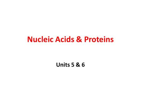 Nucleic Acids & Proteins Units 5 & 6. Nucleic Acids Nucleic Acids are Polymers made of Nucleotides 3 Parts: a)Phosphate group b)5-Carbon Sugar c)Nitrogen.