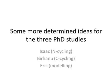 Some more determined ideas for the three PhD studies Isaac (N-cycling) Birhanu (C-cycling) Eric (modelling)