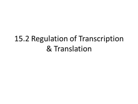 15.2 Regulation of Transcription & Translation