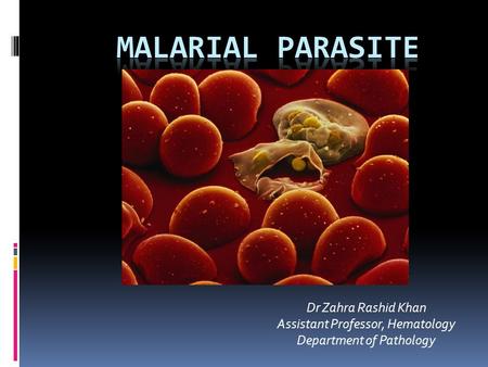 Malarial parasite Dr Zahra Rashid Khan Assistant Professor, Hematology