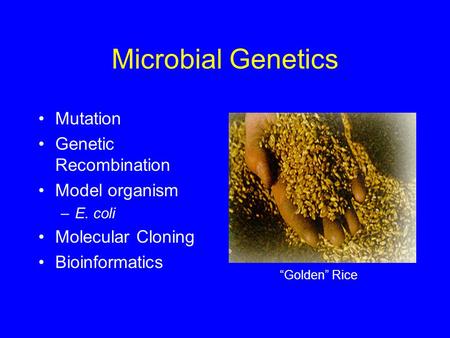 Microbial Genetics Mutation Genetic Recombination Model organism