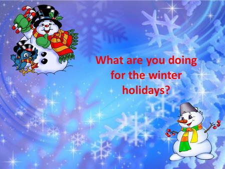 What are you doing for the winter holidays?