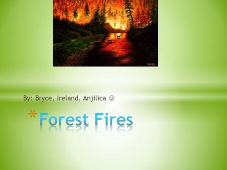 By: Bryce, Ireland, Anjilica * A forest fire can occur by… * Lightning * Camp fires that are not put out * And matches.