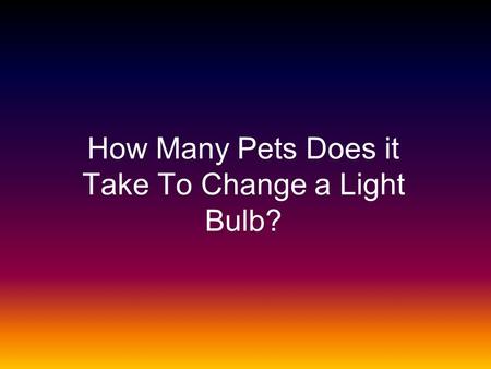 How Many Pets Does it Take To Change a Light Bulb?
