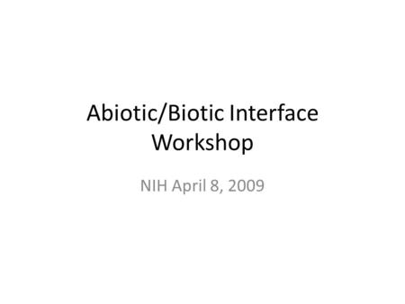 Abiotic/Biotic Interface Workshop NIH April 8, 2009.