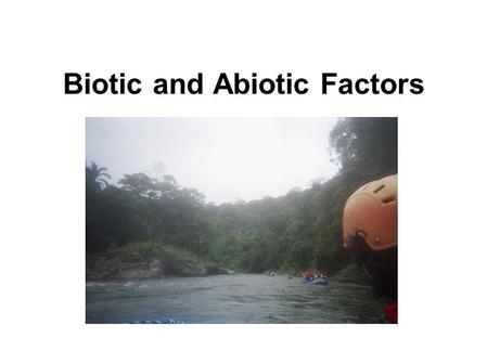 Biotic and Abiotic Factors. Different Approaches to the Study of Ecology Ecology is the study of an organism or organisms and their relationship to the.