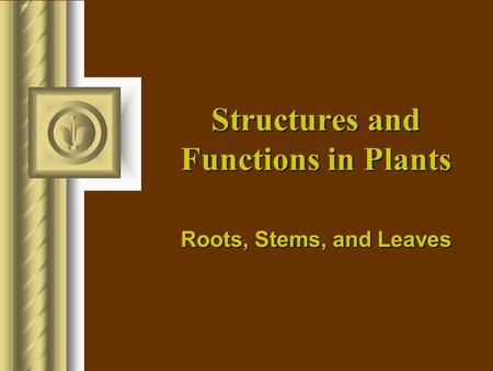 Structures and Functions in Plants