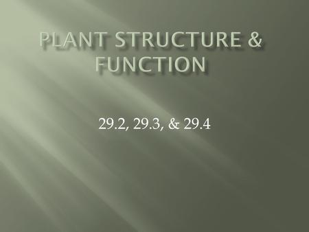 29.2, 29.3, & 29.4.  Major Functions: anchor plant to soil, absorb and transport water and nutrients, and store water and organic compounds  How do.