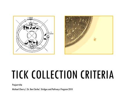 TICK COLLECTION CRITERIA Project title Michael Cherry| Dr. Ben Clarke| Bridges and Pathways Program 2010.