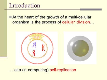 Introduction At the heart of the growth of a multi-cellular organism is the process of cellular division… … aka (in computing) self-replication.