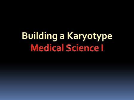 Building a Karyotype Medical Science I.