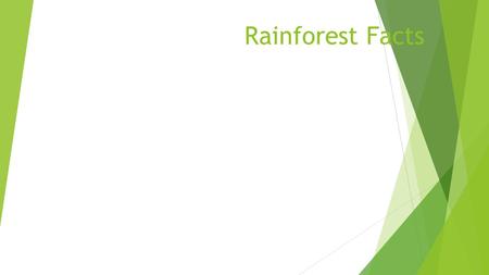 Rainforest Facts.