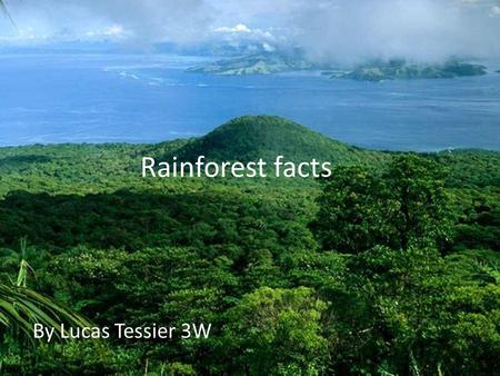 Rainforest facts By Lucas Tessier 3W. What is a rainforest? A rainforest is a big place with huge trees, waterfalls and a lot of green plants also it.