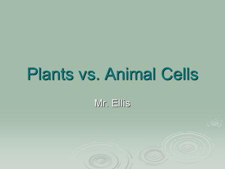 Plants vs. Animal Cells Mr. Ellis. Do Now  What do you think is the most important organelle? Why, please explain your answer using science!