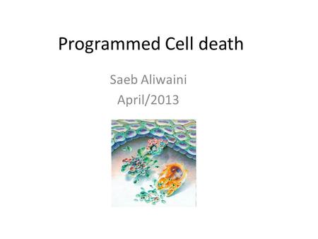 Programmed Cell death Saeb Aliwaini April/2013. Introduction Human Body makes 10 billion cells every day. Cell death makes balance : There are various.