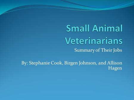 Summary of Their Jobs By: Stephanie Cook, Birgen Johnson, and Allison Hagen.