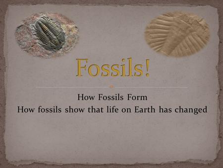 How Fossils Form How fossils show that life on Earth has changed.