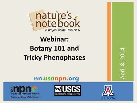 April 8, 2014 Webinar: Botany 101 and Tricky Phenophases.