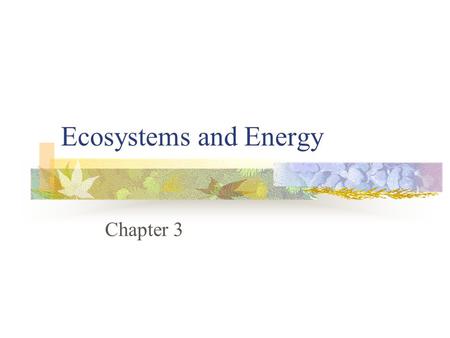 Ecosystems and Energy Chapter 3. Ecology Study of the interactions of organisms and their living and non-living environment Many different scales to ecology.