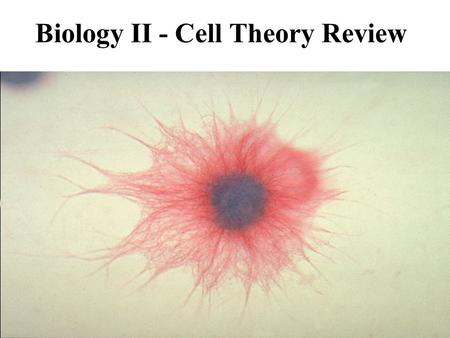 Biology II - Cell Theory Review. Cell Theory Term “cell” was coined in 1665 by Robert Hooke when he looked at a slice of dried cork. He observed that: