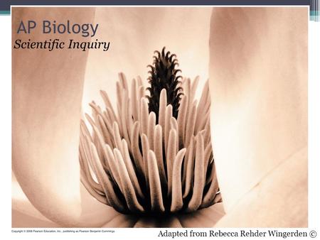 AP Biology Scientific Inquiry Adapted from Rebecca Rehder Wingerden ©