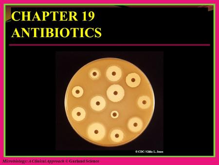 Microbiology: A Clinical Approach © Garland Science CHAPTER 19 ANTIBIOTICS © CDC / Gilda L. Jones.