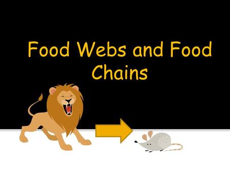 Food Webs and Food Chains