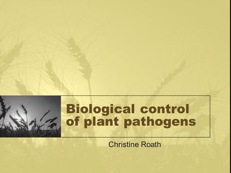 Biological control of plant pathogens Christine Roath.
