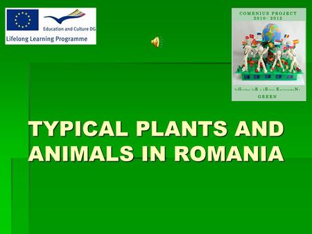 TYPICAL PLANTS AND ANIMALS IN ROMANIA