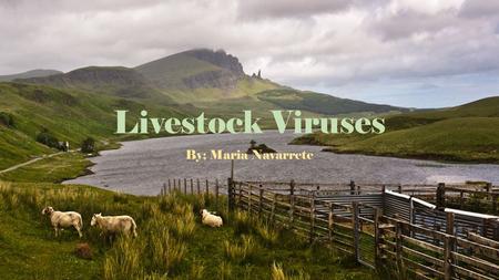 Livestock Viruses By; Maria Navarrete Topics The diseases How to prevent them Recognize disease symptoms. Respond to symptoms safely and effectively.