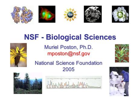 NSF - Biological Sciences Muriel Poston, Ph.D. National Science Foundation 2005.