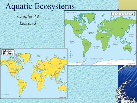 Aquatic Ecosystems Chapter 19 Lesson 3. Types of Ecosystems Water takes up more than 70% of the Earth’s surface. That means that if you divided the Earth.