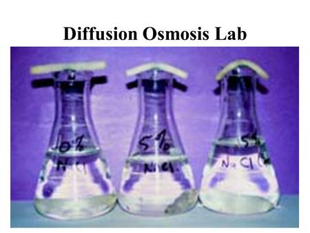 Diffusion Osmosis Lab.