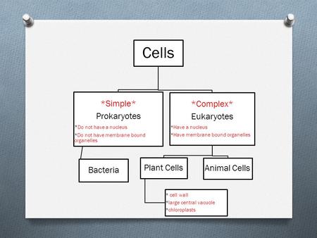 Cells *Simple* Prokaryotes * Do not have a nucleus *Do not have membrane bound organelles Bacteria *Complex* Eukaryotes *Have a nucleus *Have membrane.