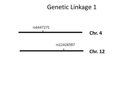 Genetic Linkage 1 rs12426597 rs6447271 Chr. 4 Chr. 12.