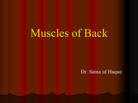 Muscles of Back Dr. Sama ul Haque.