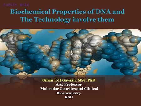 Gihan E-H Gawish, MSc, PhD Ass. Professor Molecular Genetics and Clinical Biochemistry Molecular Genetics and Clinical BiochemistryKSU FOURTH WEEK.
